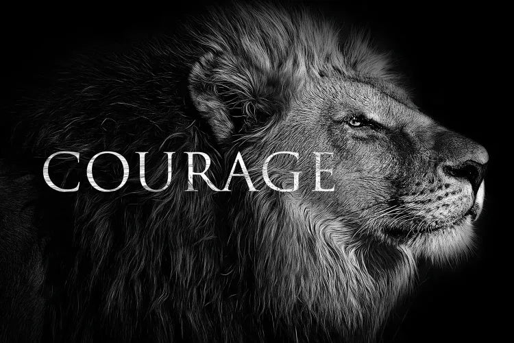 Courage