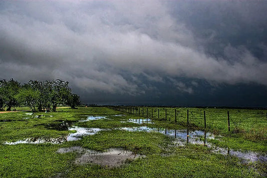 Preparing Your Fields For Rain